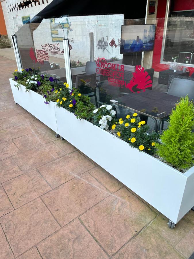 Albergue Rincon Del Peregrino Porrino-Pleno Centro-City Center Eksteriør bilde